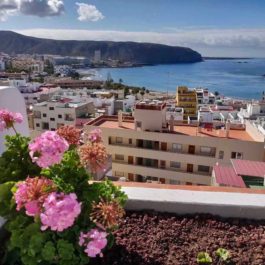 Cactus Los Cristianos Villa Los Cristianos  Casa vacanze